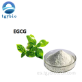 Extracto de té verde polifenol 98% EGCG 40% Catequinas